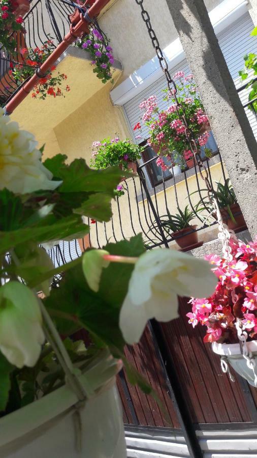 Guest Rooms Ider Sapareva Banya Ngoại thất bức ảnh